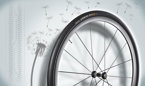 Continental bicycle tire made of dandelion rubber wins German Sustainability Award